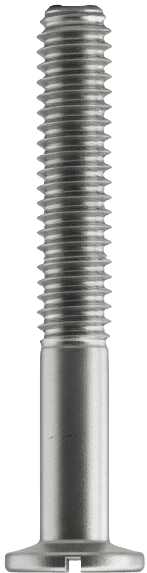 /images/screws/punches/slotted-screw.png